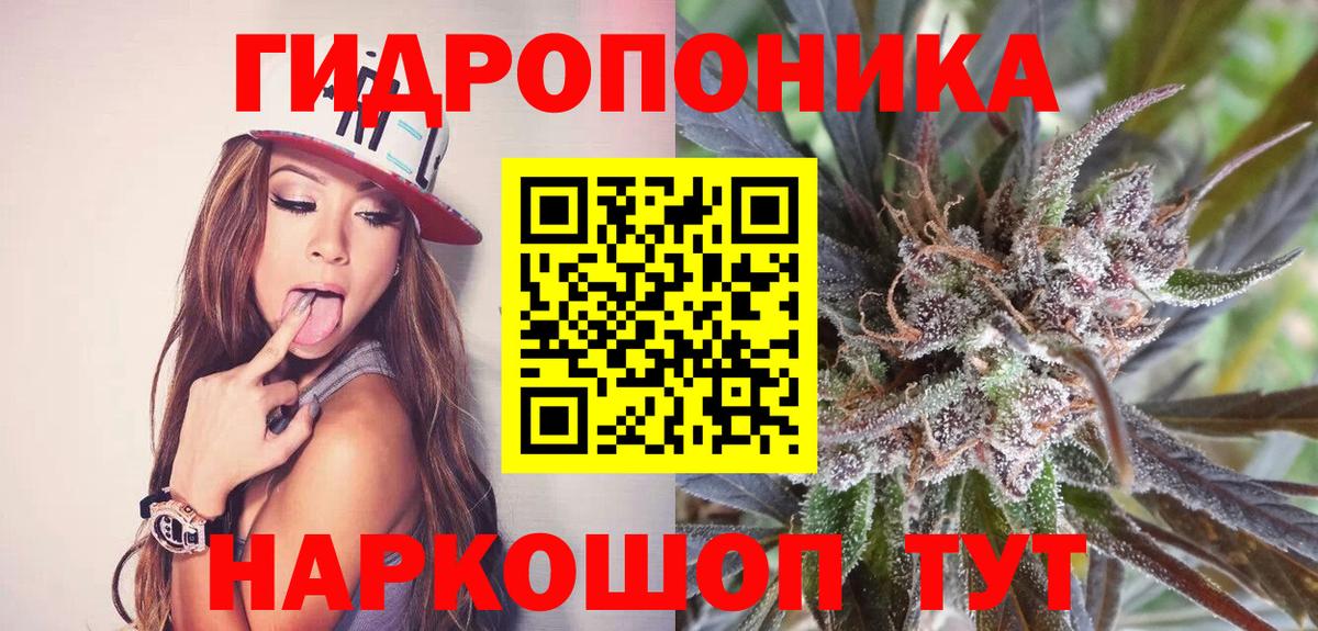 Узловая  Бошки Шишки конопля  Конопля семена  Вход с VPN 